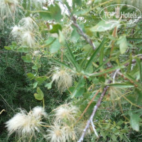 фото из отзыва ID 1377565