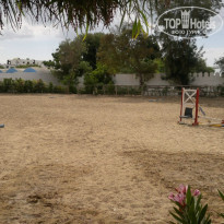 фото из отзыва ID 1377606