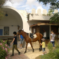 фото из отзыва ID 1377606