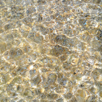 фото из отзыва ID 1377626