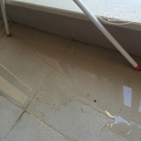 фото из отзыва ID 1377752