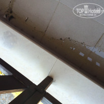 фото из отзыва ID 1377752