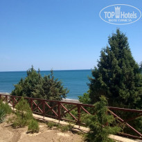 фото из отзыва ID 1377811