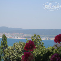 фото из отзыва ID 1377851