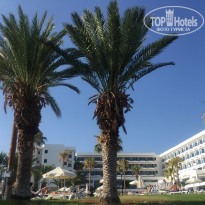 фото из отзыва ID 1377894