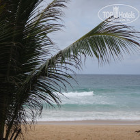 фото из отзыва ID 1377942