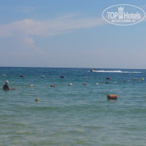 фото из отзыва ID 1378078