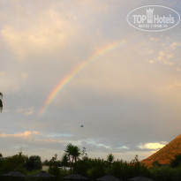 фото из отзыва ID 1378052