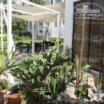 фото из отзыва ID 1378171