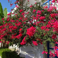 фото из отзыва ID 1378193