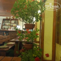 фото из отзыва ID 1378231