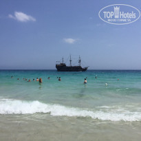 фото из отзыва ID 1375564