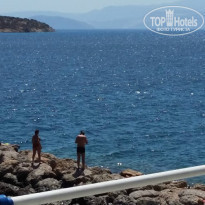 фото из отзыва ID 1378403