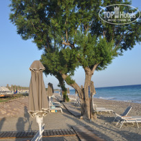 фото из отзыва ID 1378661