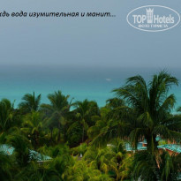 фото из отзыва ID 1378713