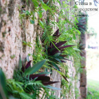 фото из отзыва ID 1378713