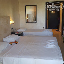 фото из отзыва ID 1378739