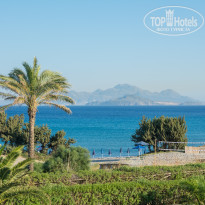 фото из отзыва ID 1378760