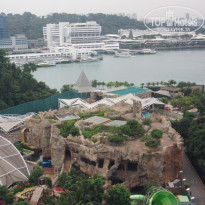 фото из отзыва ID 1378753