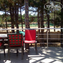 фото из отзыва ID 1378771