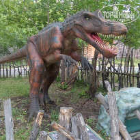 фото из отзыва ID 1378773