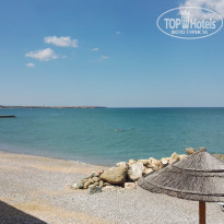 фото из отзыва ID 1378861