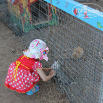 фото из отзыва ID 1378861