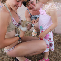 фото из отзыва ID 1378861