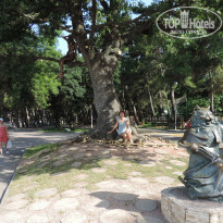 фото из отзыва ID 1378866