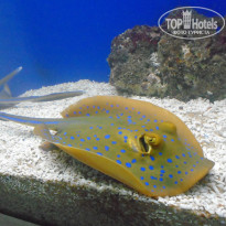 фото из отзыва ID 1378991