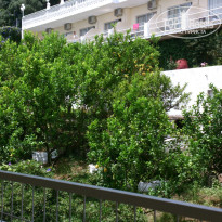 фото из отзыва ID 1379026