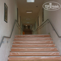 фото из отзыва ID 1379026