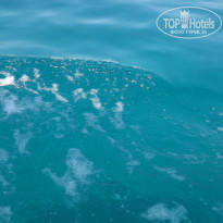 фото из отзыва ID 1379026