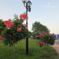 фото из отзыва ID 1379219