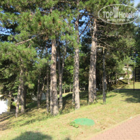 фото из отзыва ID 1379219