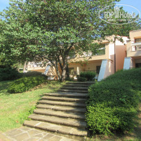 фото из отзыва ID 1379219