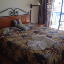 фото из отзыва ID 1379371