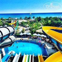 фото из отзыва ID 1379401