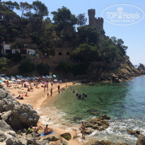 фото из отзыва ID 1379466