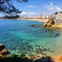 фото из отзыва ID 1379466