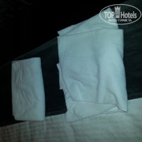 фото из отзыва ID 1379486