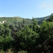 фото из отзыва ID 1376902