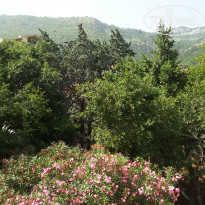 фото из отзыва ID 1376902