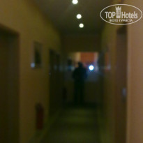 фото из отзыва ID 1379545