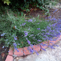 фото из отзыва ID 1379591