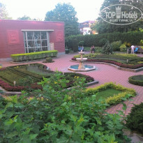 фото из отзыва ID 1379679