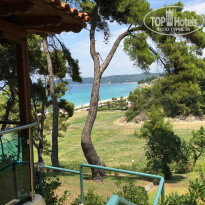 фото из отзыва ID 1379785