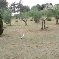 фото из отзыва ID 1379783