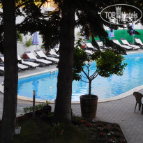 фото из отзыва ID 1379947