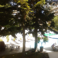 фото из отзыва ID 1379947